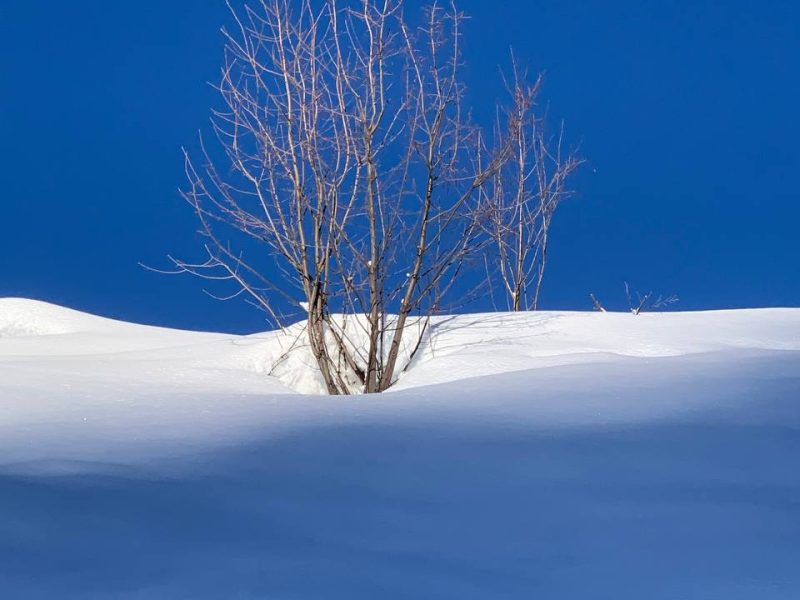 Winterwanderung